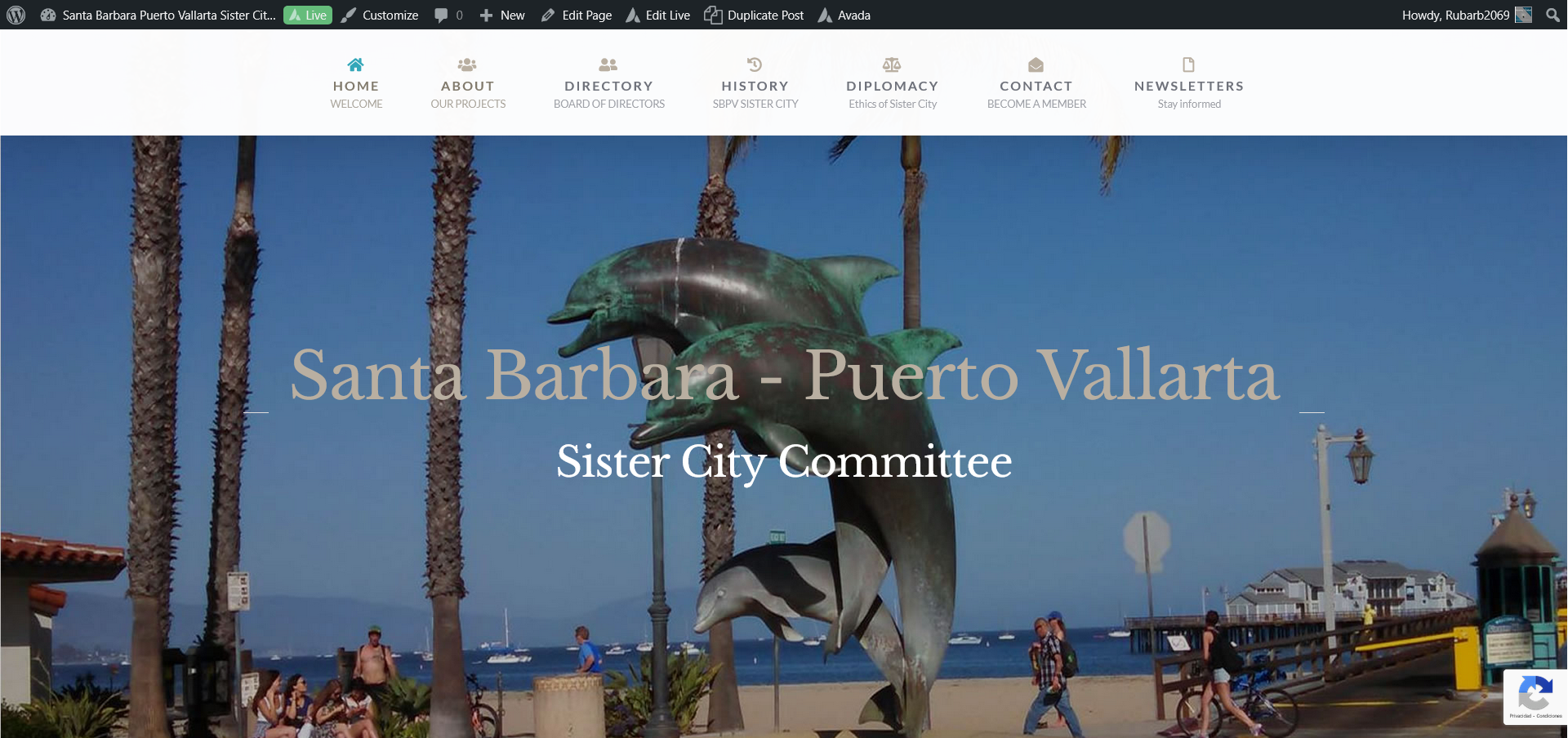 Web Design Kelowna | Web Designer Vernon | SEO Okanagan